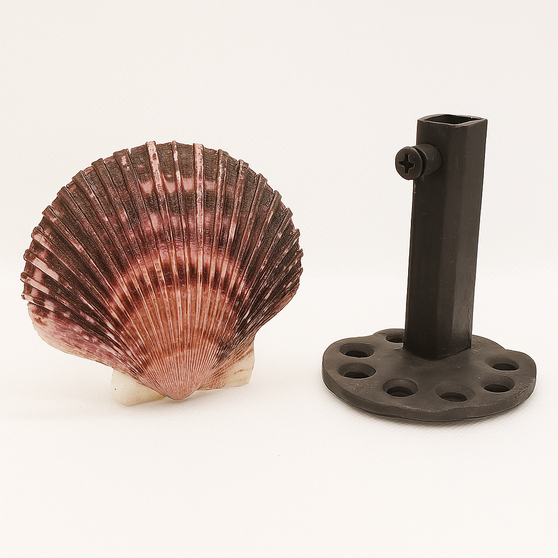 Authentic pectin purple scallion seashell medallion ranging in length from 3″-4″ diameter with a 3″- 5″ projection.