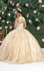 MQ-LK201 Quinceanera Ball Gown