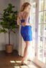 Nox Anabel K-195 Mini Stretch Satin Beaded Dress With Embroidery