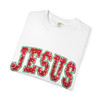 Jesus is the Reason Unisex T-Shirt, Faith-Based Apparel, Holiday Gift, Casual Wear, Christian T-Shirt, Spiritual Reminder