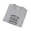 Sorry Not Sorry for the Accurate Things I Said T Shirt| Pastel Softstyle T-Shirt| Humorous Tees| 80's Tees| Gen X Tees
