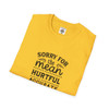 Sorry Not Sorry for the Accurate Things I Said T Shirt| Pastel Softstyle T-Shirt| Humorous Tees| 80's Tees| Gen X Tees