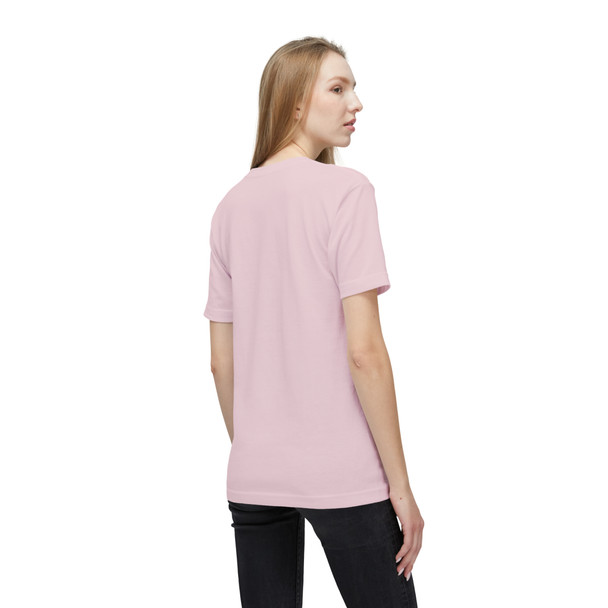 Pied Piper Retro T Shirt| Vintage Design Shirt| Made in USA| Funny Shirt| Unisex Midweight T-shirt