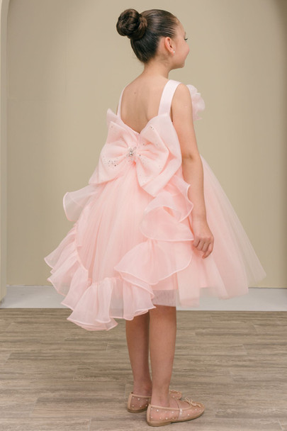 Cinderella Couture 9178 Lala and Erina Tulle and Satin Flower Girl Dress Cinderella Couture 9178 Lala and Erina Tulle and Satin Flower Girl Dress