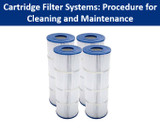 Cartridge Filter Systems: Procedure for Cleaning and Maintenance