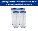 Cartridge Filter Systems: Procedure for Cleaning and Maintenance Cartridge Filter Systems: Procedure for Cleaning and Maintenance