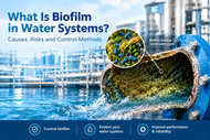 What Is Biofilm in Water Systems? Causes, Risks and Control Methods
