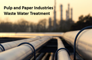 Pulp and Paper Industries Waste Water Treatment Pulp and Paper Industries Waste Water Treatment