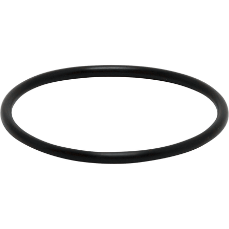 EH1082 Walchem FKM O-RING