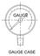 Walchem Gauge