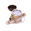 Bronze Body Cold-Water Pulse Meter