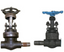 Globe Valve Without Position Indicator