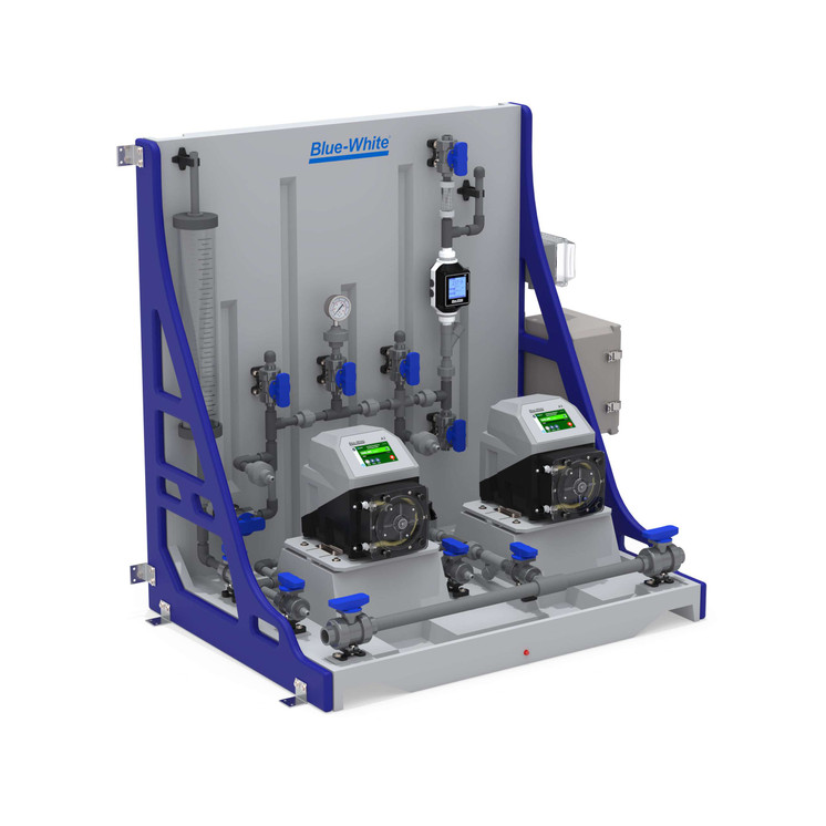 BW CFPS-2 CHEM-FEED® Plastic Simplex Skid System