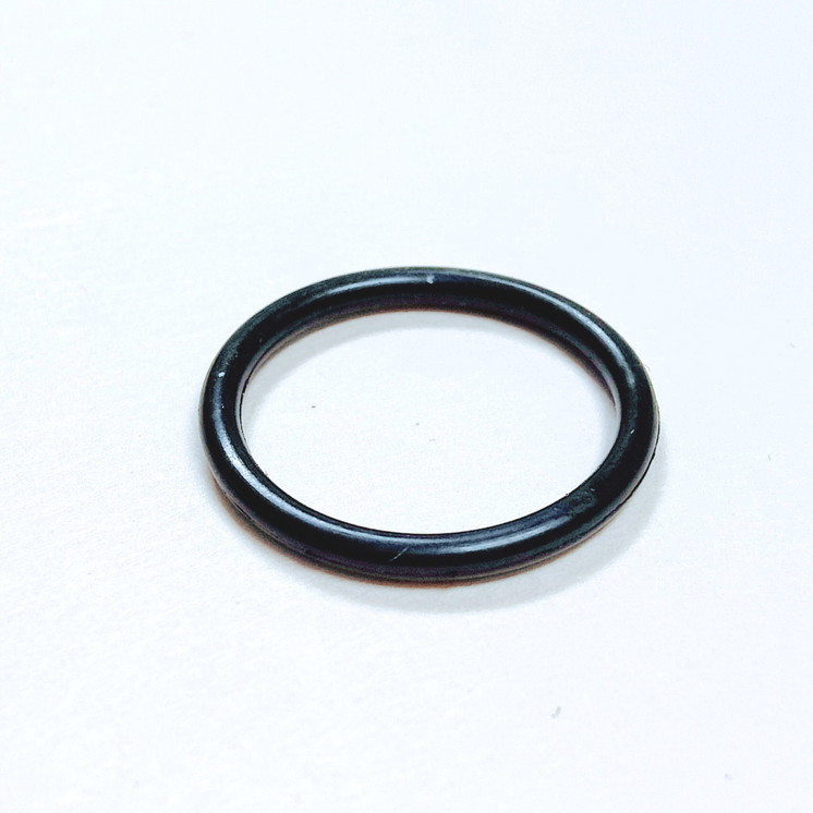 E00175 Walchem O-RING