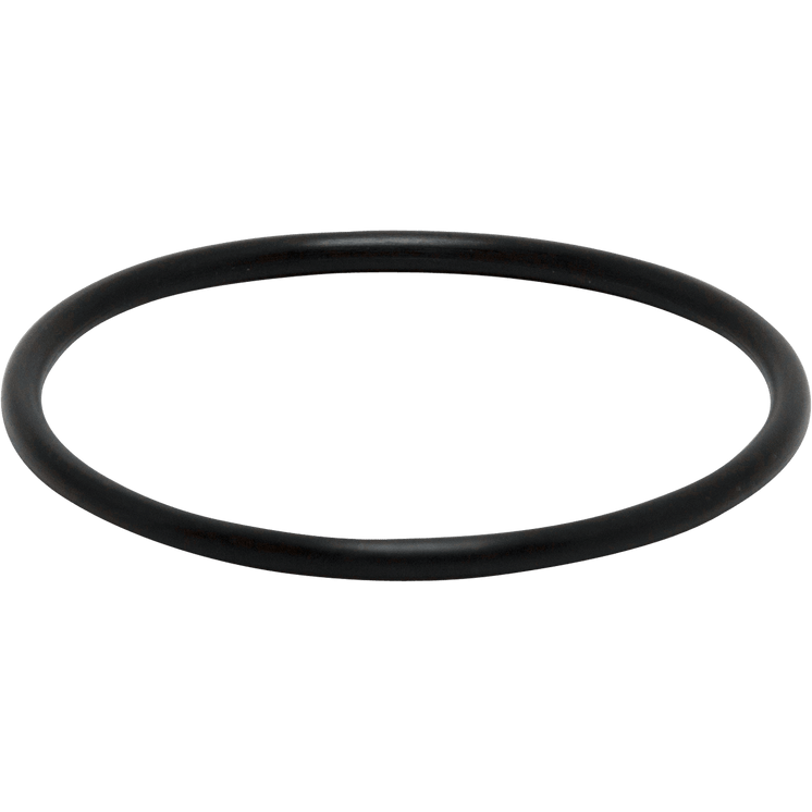 EH0300 Walchem O-RING