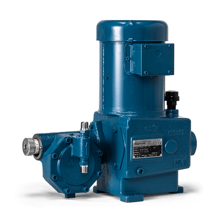 Neptune 500-E Series Metering Pumps- Economy Flat Diaphragm