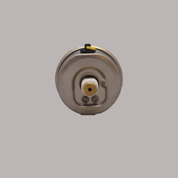 Pulsafeeder 12-130-12 Pressure Gauge, Back Connection