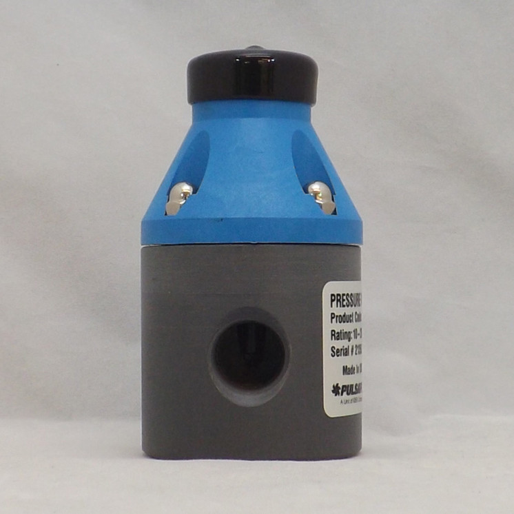 Pulsafeeder NA100001-316 Pressure Relief Valves - 150 PSI, SS/TFE 1/2"