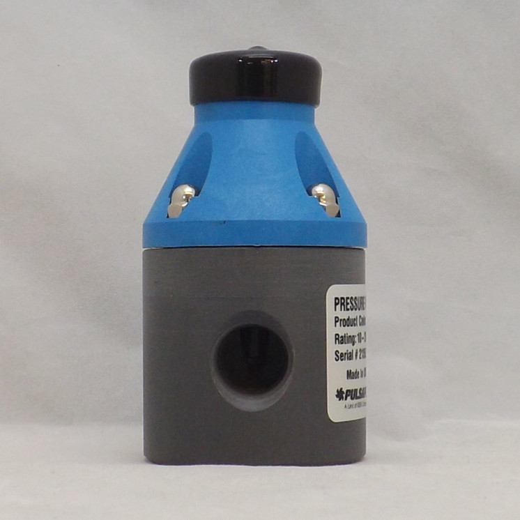 Pulsafeeder NA100002-PVC Pressure Relief Valves - 150 PSI, PVC/TFE 1"
