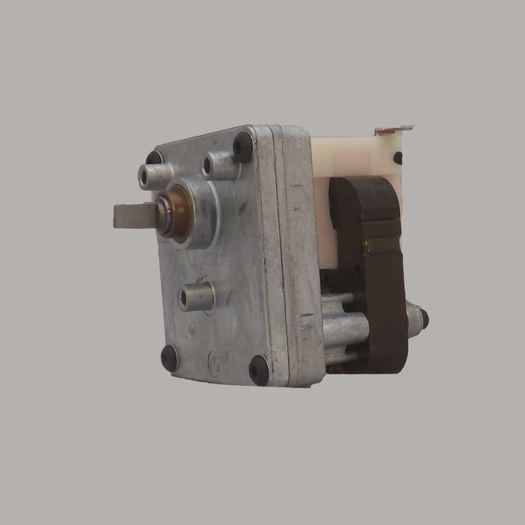 Pulsafeeder U0818602 Gearmotor Assembly