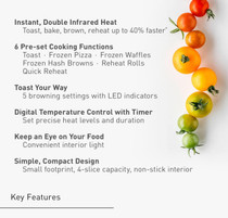 Panasonic Toaster Oven FlashXpress NB-G110P - Silver