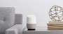 Google Home Smart Assistant Bluetooth Speaker - White Slate