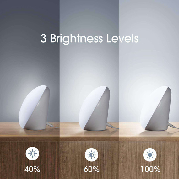 Miroco Light Therapy Lamp