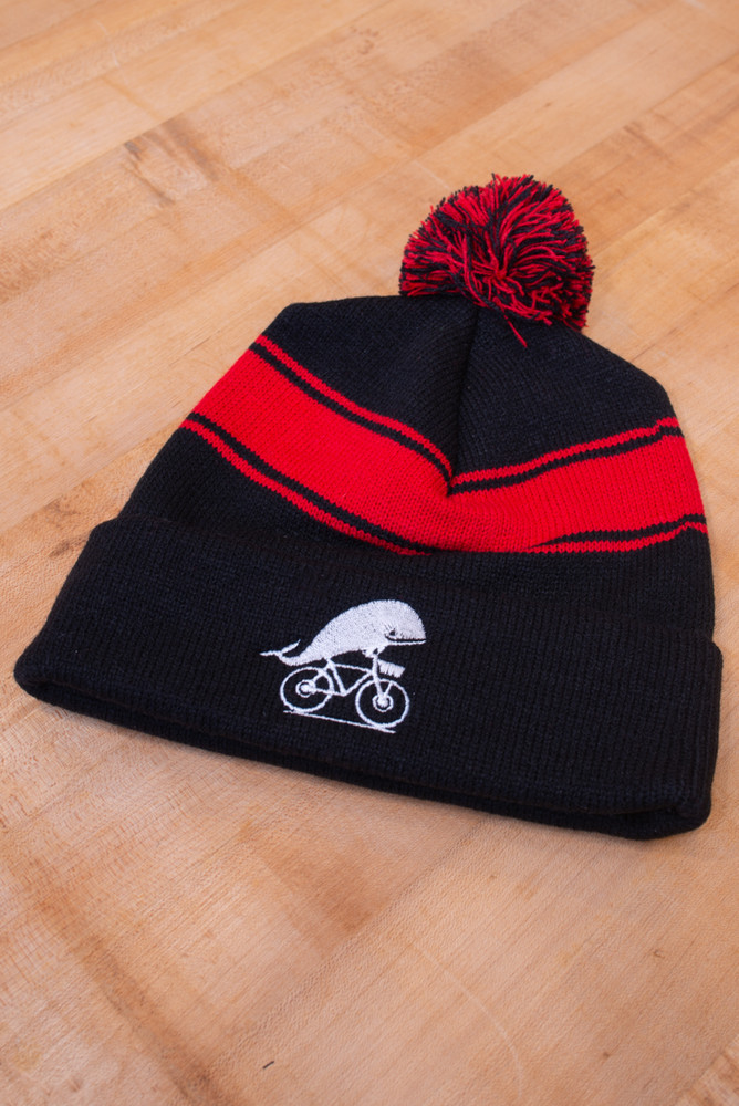 TWGS Striped Winter Pom Hats