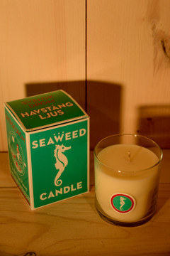 Swedish Dream - Seaweed Candle