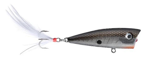 RICO TENNESSEE SHAD