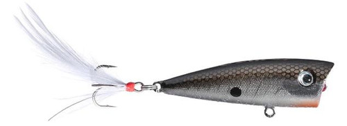 RIO RICO TENNESSEE SHAD