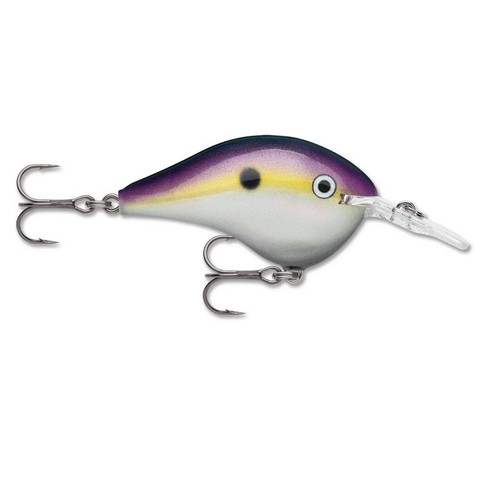 Rapala DT Series Crankbait DT6 BIG SHAD