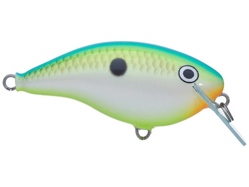 Rapala Otts Garage OG Rocco 5 Crankbait5 CITRUS SHAD