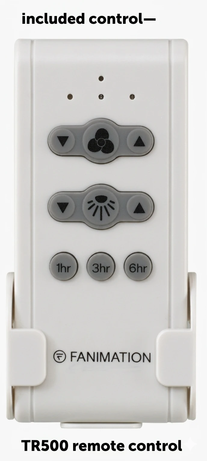remote