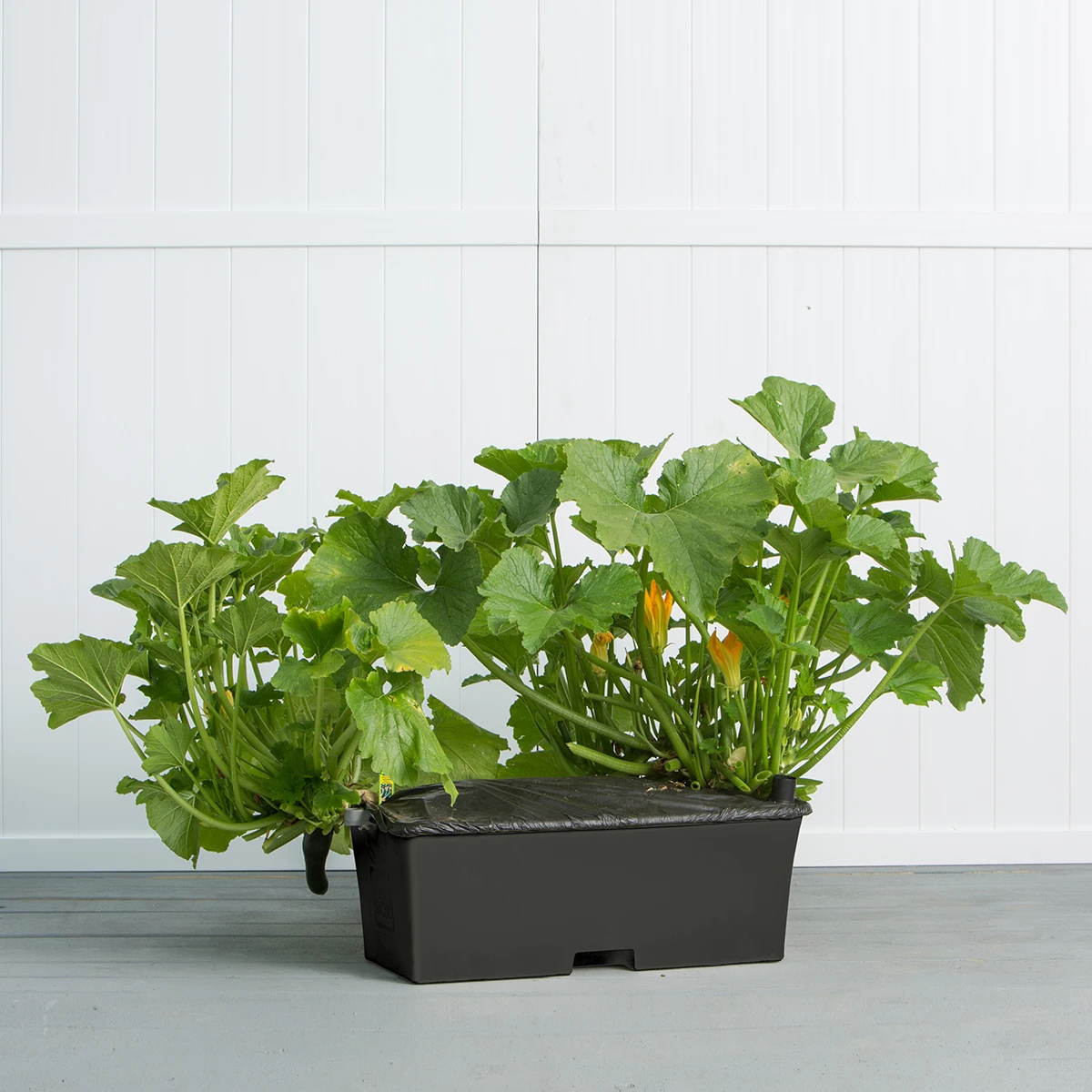 Planter Box | Container Gardening | EarthBox