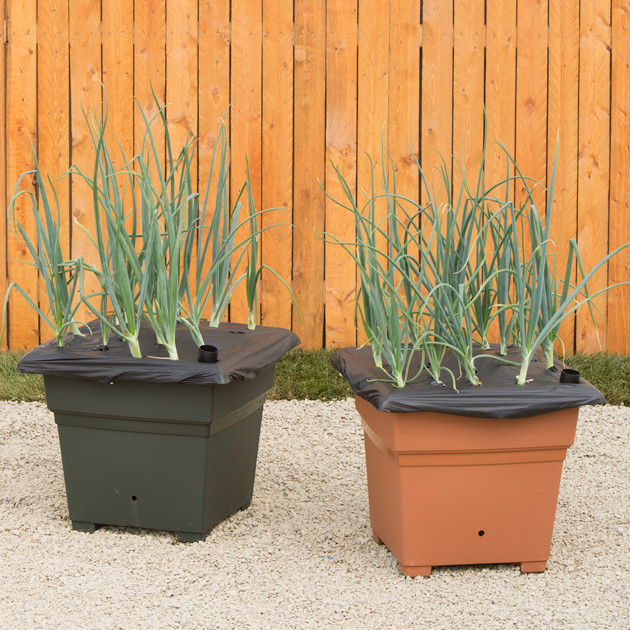 Planter Box for Vegetables | Box Gardening | EarthBox