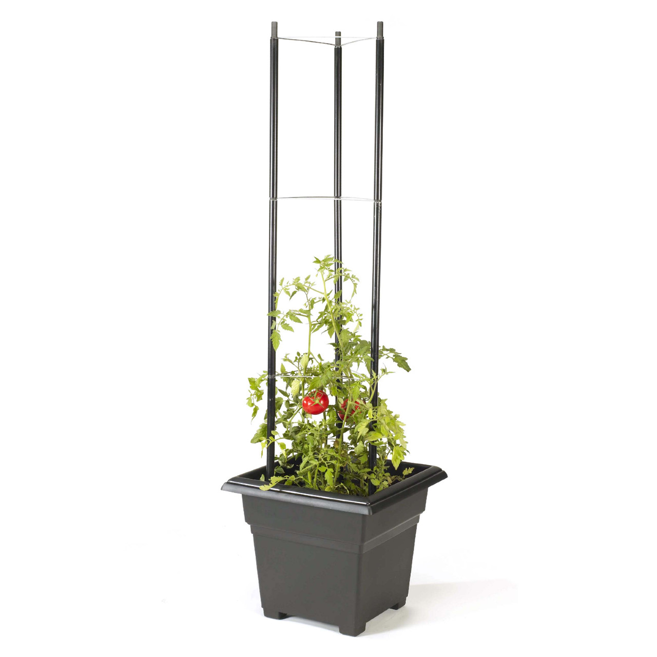 EarthBox Root & Veg Jersey Boy Trellis | Container Gardening