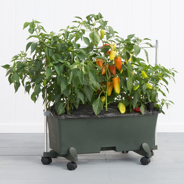 EarthBox Staking System | Support Plants in Container Gardens