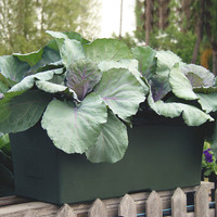 EarthBox Original Gardening System