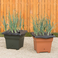 EarthBox Root & Veg Gardening System