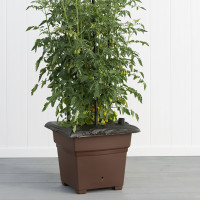 EarthBox Root & Veg Gardening System