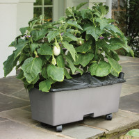 EarthBox Caster Kit