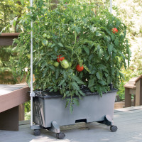 EarthBox Tomato Growing Bundle