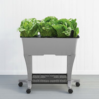 EarthBox Raised Bed Garden Stand
