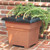 EarthBox Root & Veg Gardening System