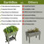 Comparison chart showing the benefits of the EarthBox Elevated Raised bed versus other gardening methods