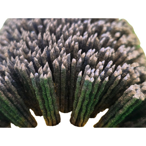 Professional tool for sanding, grinding, and polishing applications.