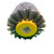 Abrasive Drum Brush for Surface Finishing – High-quality sanding brush ideal for wood, metal, and composite materials.