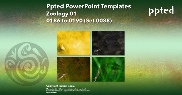 Ppted PowerPoint Templates 038 - Zoology 01