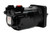 Chief BMK6 Motor, 29.95 CID, SAE 16 Ports, 1 1/2 Keyed Shaft, 2900 PSI